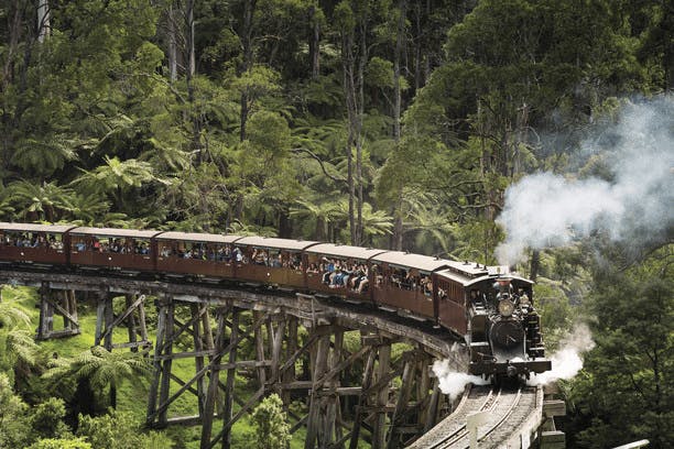 Make a visit to the Dandenong Ranges via train